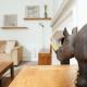 Garden flat in period property Centrally located, Bath - Foto 2