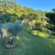 Chalet Valserena - Perugia, Colognola (photo 4)