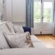 Mountfield Farm Cottage, Wavehorne (fotografie 10)