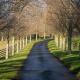 Stunning Stables Cottage in East Lothian Country Estate, North Berwick (fotografie 2)