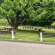 Parkdean Static caravan on cherry tree holiday park, Great Yarmouth (fotografie 10)