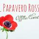 Il papavero rosso, Navelli