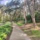 Peaceful Getaway in Forested Park Bournemouth - Photo 8