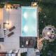 Todor boutique house, Sremska Kamenica (foto 2)