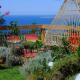 Petit coin de paradis, vue panoramique mer &montagne, piscine privée..., Calcatoggio (fotografie 5)
