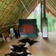 Uwak Gallery, Zambales (foto 8)