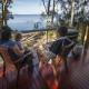 NRMA Myall Shores Holiday Park Bulahdelah - Photo 7