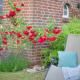 Am Deich, Greetsiel - Foto 1