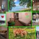 Stockholm Private Rooms in Shared Lovely, Amazing, Modern Apartment +Garden +BBQ, Стокгольм