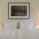nook x Seepalais Boutique Hotel, Bad Saarow - Foto 6