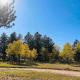 New! Historic Chalet in Colorado National Forest, Lake George (fotografie 10)