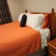 Bed & Breakfast @ Unsworth Heights Albany, Окленд - Фото 10