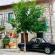 i 3 falchi Bed & Breakfast
