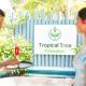 Tropical Tree, Fehendhoo (foto 10)