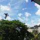 Days Inn B/B, Kandy (foto 3)