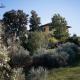 Villa Pacini - just 1,8 km outside Lucca Wall - Pool - Fotografie 10