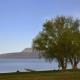 Lakeside Cottage with Jetty at Lake Tarawera Rotorua - Photo 7