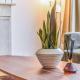 Knightsbridge Stylish Two Bedroom Apartment, Londen - Foto 3