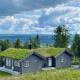 Bergestua - 4 bedroom cabin, Golsfjellet - 照片 1