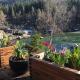 Unique house with incredible outside area!, Urdland - Photo 4