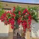 Casa verde 2, Pantelimon - 写真 6