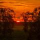 Finniss River Lodge, Rakula (foto 10)