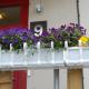 Golden Spa Hotell, Eskilstuna (foto 3)