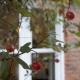 Beautiful London home sleeps 6, 2 minutes to metro, Лондон - Фото 1