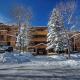 Fasching Haus Unit 310, Deluxe Condo w/ Stately Furnishings, Private Deck, A/C Aspen - Foto 5