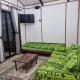 Mika's House, Hanga Roa (Foto 4)