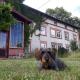 Gutshaus Alt-Krassow, Lalendorf - Foto 7