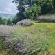 Tana della Lavanda, Montefiorino (photo 9)