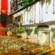 Pomme Hostel Restaurant & Bar - Private Sleeping Cabins, Battambang (Foto 9)