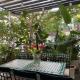 The Highland House, Buôn Ma Thuột (foto 8)