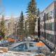 Durant Unit C12, Condo with 2 Fireplaces, Access to Pool & Hot Tub, Aspen - Foto 9