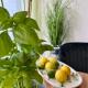 Luxurious city apartment incl garage and terrace, Wien - Foto 8
