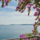 Hotel Villa Florida & Suite Apartments, Gardone Riviera (fotografie 4)