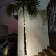 Paradise White Villa, Pondicherry - Foto 2