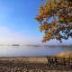 Nature Bell-tent with lakeside view, Agunnaryd (Foto 8)