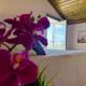 Tufa Guest House, Wellness & SPA - Villa Campus, Corredoura (fotografie 6)