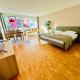 New Studio with Sunny Terrace & Air Condition Zurigo - Foto 4