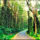 SP cottage&home stay, イェールカードゥ - 写真 2