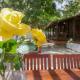 villa del sole lagoa, ジジョーカ・デ・ジェリコアコアラ - 写真 6