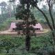 Creek Side, Madikeri - Photo 4