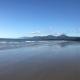 Chez Brolga, Port Douglas (foto 7)