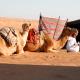 Private Camel Safari Camp, Bidiyah - Fotografie 6