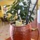 Hotel Bougainville, Lipari (Foto 8)