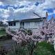 Jindaburra Cottage, Jindabyne (fotografie 2)