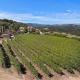 Tuscan Villa w/Vineyard Views!, Murrieta (fotografie 3)