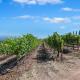 Tuscan Villa w/Vineyard Views!, Murrieta (fotografie 7)